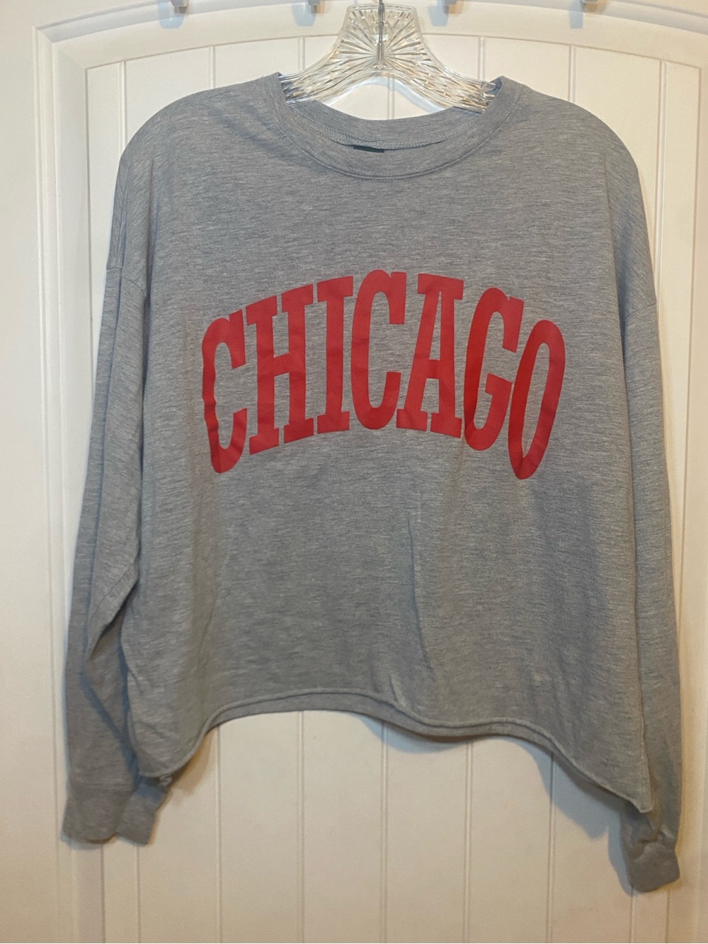Wild Fable Chicago Graphic Crewneck long sleeve cropped tee - Gray with Red Prin